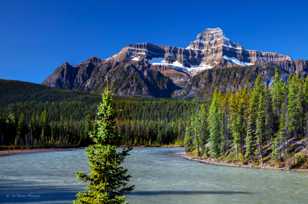 Mt. Christie and Athabaska River-4224 Mt. Christie and Athabaska River-4224